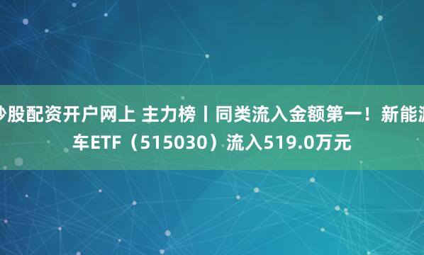 炒股配资开户网上 主力榜丨同类流入金额第一！新能源车ETF（515030）流入519.0万元